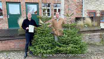 Weihnachtsbaumverkauf auf dem Rittergut Nordsteimke
