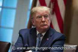 Amtsenthebungsverfahren: US-Demokraten stellen Anklage gegen Trump vor