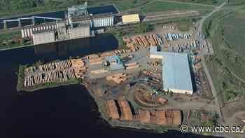 Labour ministry investigating workplace accident at Resolute sawmill