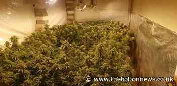 Massive cannabis farm found at former funeral parlour