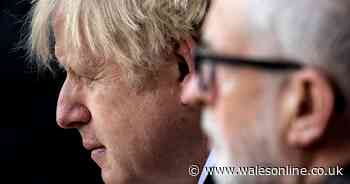 General election betting odds: Who is favourite to win?