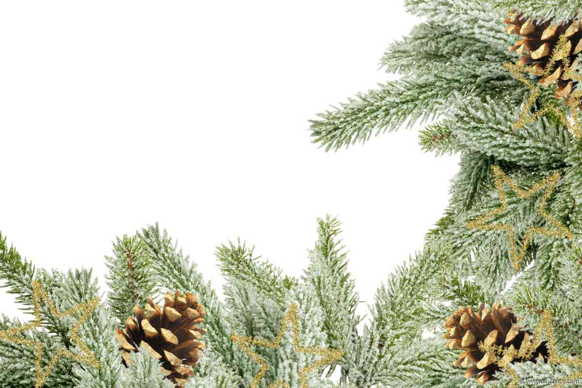 Discover: There's a reason 'Christmas' scents like pine trees and turkey are so evocative