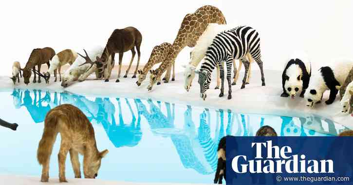 Water at Goma is not just an art show – it’s a profound space to process climate anxiety