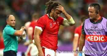 Wales star Josh Navidi set to return for Cardiff Blues in Christmas derbies