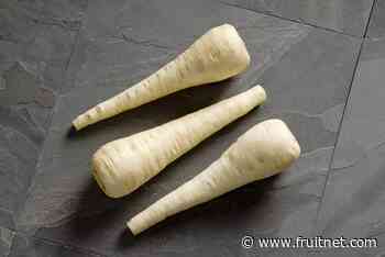 Root veg are star attractions in winter