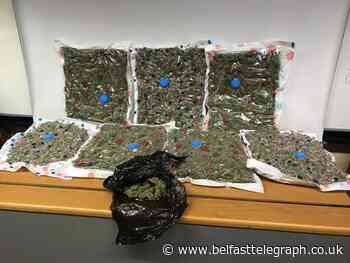 Call from member of public leads to £210k cannabis seizure in Belfast