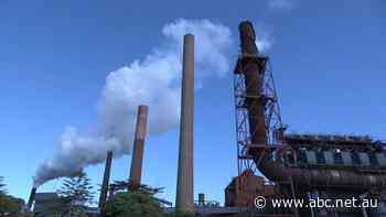 Australia's steel city commits to be carbon neutral by 2050