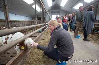 Alleen lokaal eten op het menu in de Vallei, is dat mogelijk?
