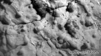 NASA Curiosity rover spots fascinating 'little round items' on Mars     - CNET