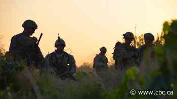 Canadian soldiers made 'progress' in Afghanistan, Sajjan says in response to grim U.S. war report