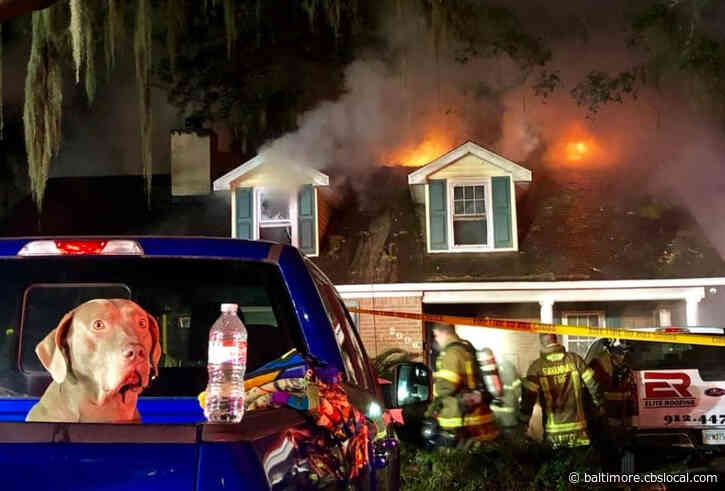 Barking Hero Dog Saves Family Of Five From Raging House Fire