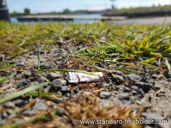 Smoking soon to be banned in all Cornwall parks and Waterfront Trail