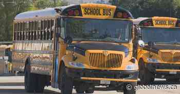 Edmonton Public School Board raising school bus fees Feb. 1 in wake of provincial budget