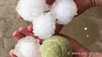ACCC foils 'outrageous' plan to rip off Sydney hailstorm victims