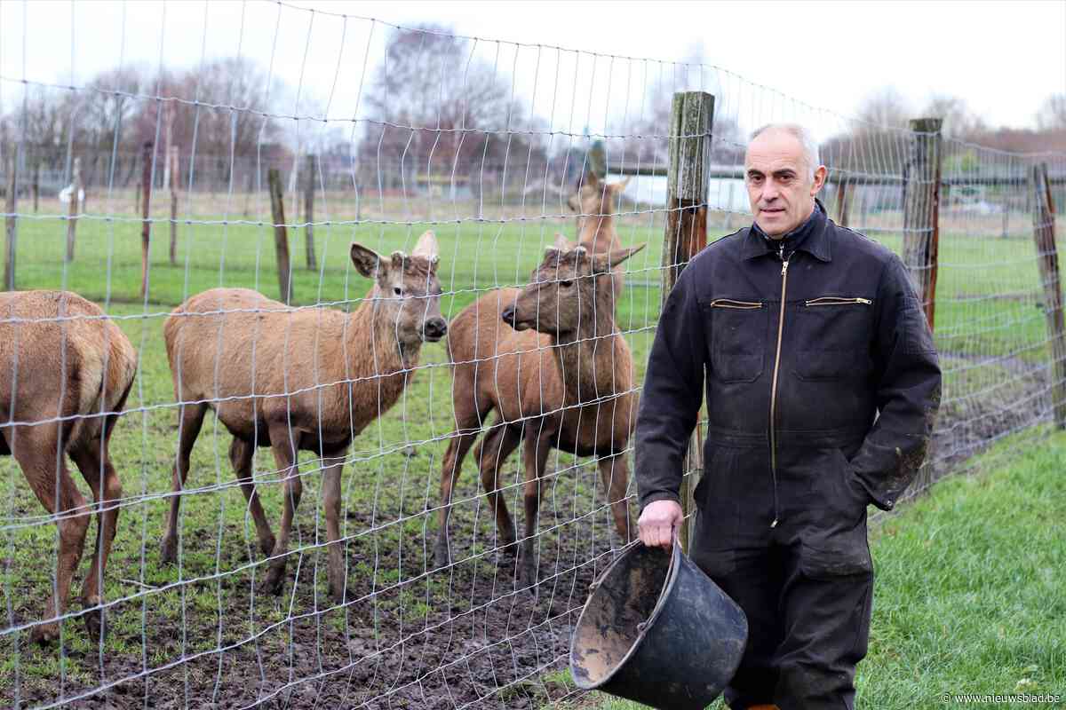 Cisse biedt co-housing in hertenboerderij