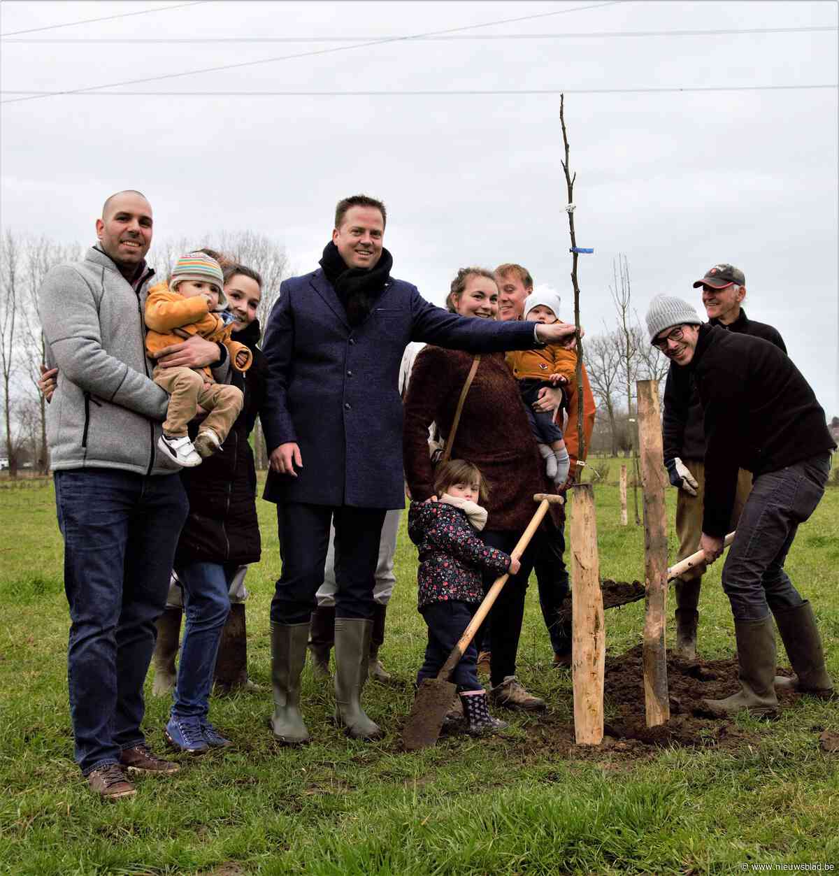 Achtduizend extra bomen in Merchtem: één per gezin