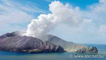 'I know where they all are': Pilot says he could have bodies off volcano in 90 minutes