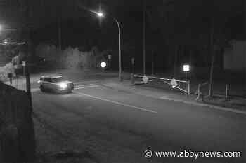 The Grinch who Stole a Hedge: Security camera captures Chilliwack tree theft