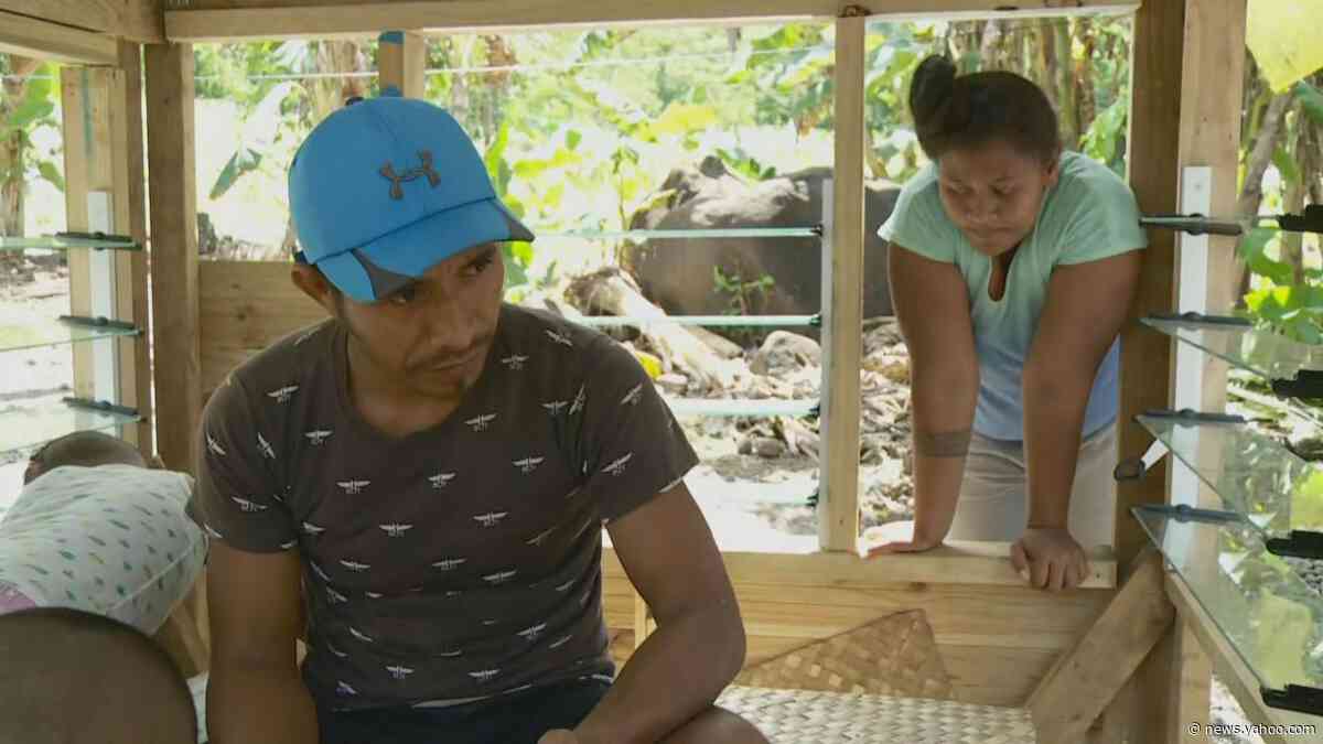 A Samoan father loses 3 of his 5 children to the measles outbreak