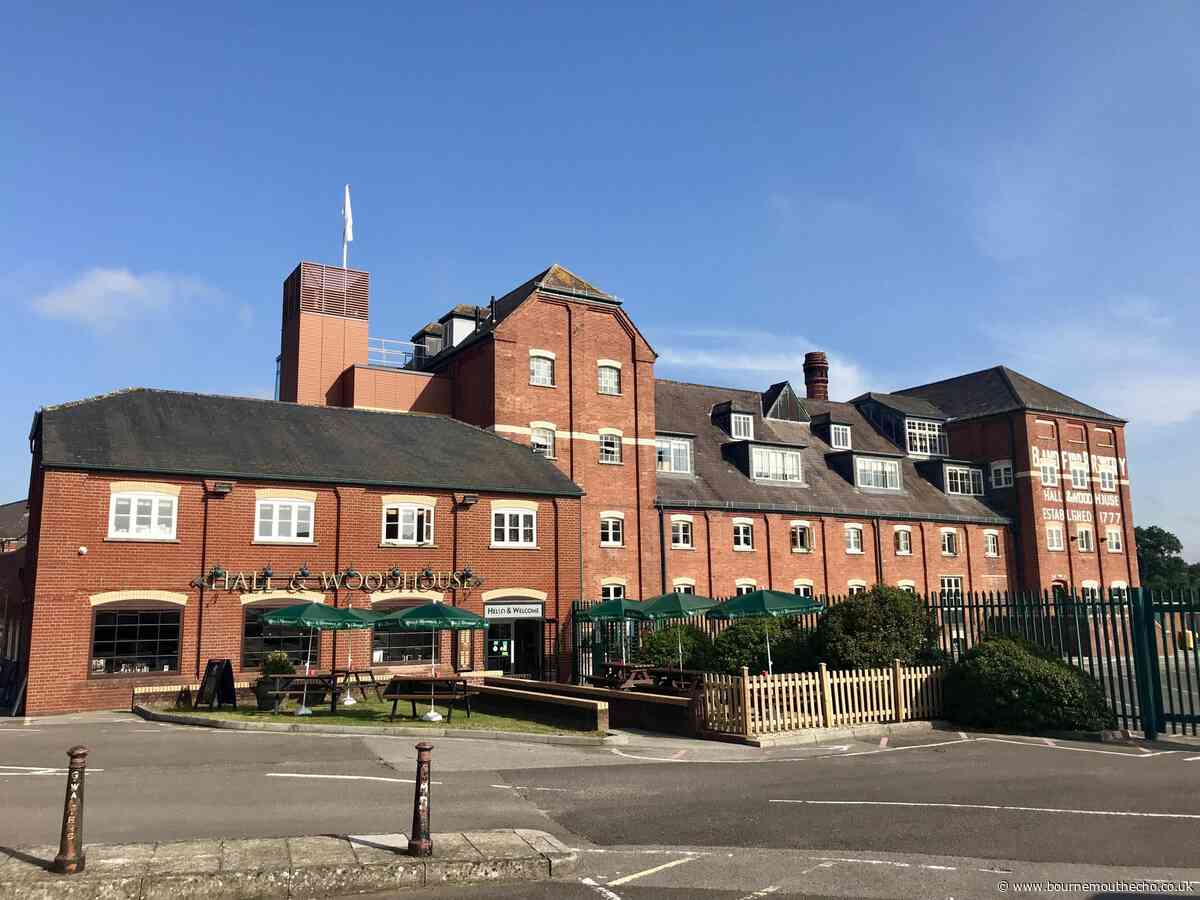 Hall & Woodhouse launches initiatives for staff's mental health