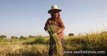 UN: Nearly a half-billion in Asia-Pacific still going hungry