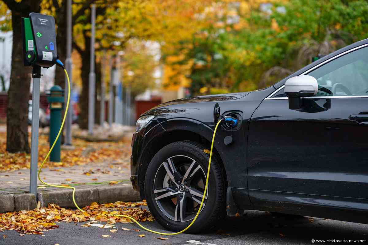 Absatz von PHEV doppelt so stark gewachsen wie E-Auto-Absatz in 10/2019