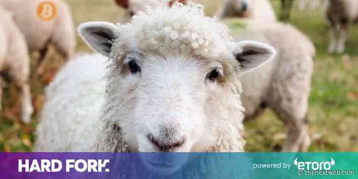 This $722M Bitcoin mining scam referred to its marks as ‘dumb’ investors and ‘sheep’