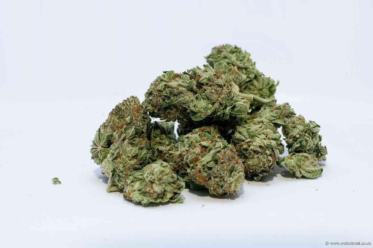 Cannabis dealer given final chance and spared jail