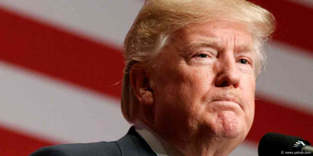 A key paragraph in the House Democrats' articles of impeachment against Trump that nods to 2020