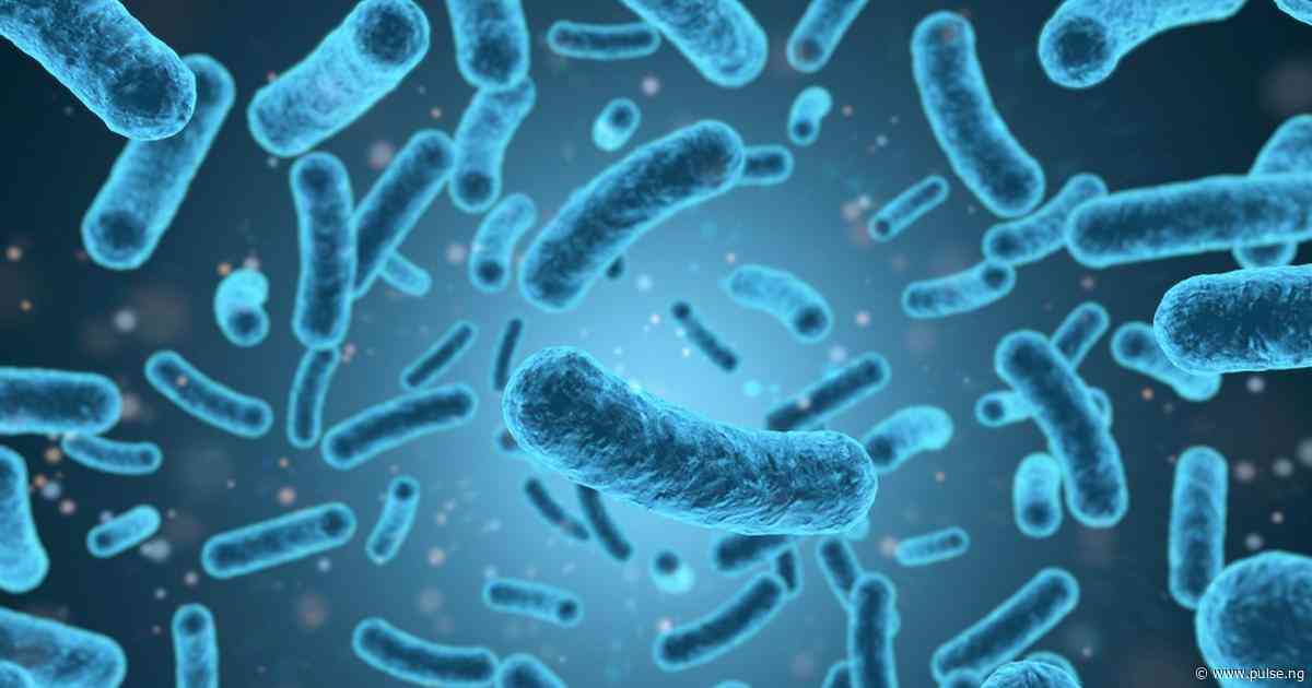Everything you should know about listeriosis in pregnancy