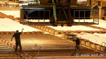 Kupferkonzern Aurubis will sich aus der Krise sparen