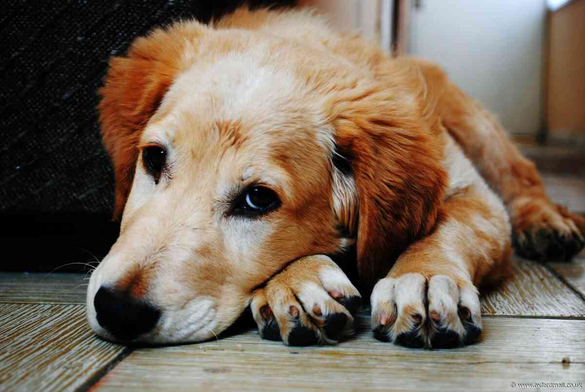 Alabama Rot case in Wallingford