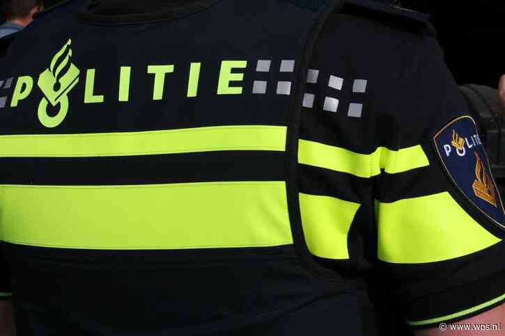 WOS.nl - Maassluise veelpleger vlucht voor politie