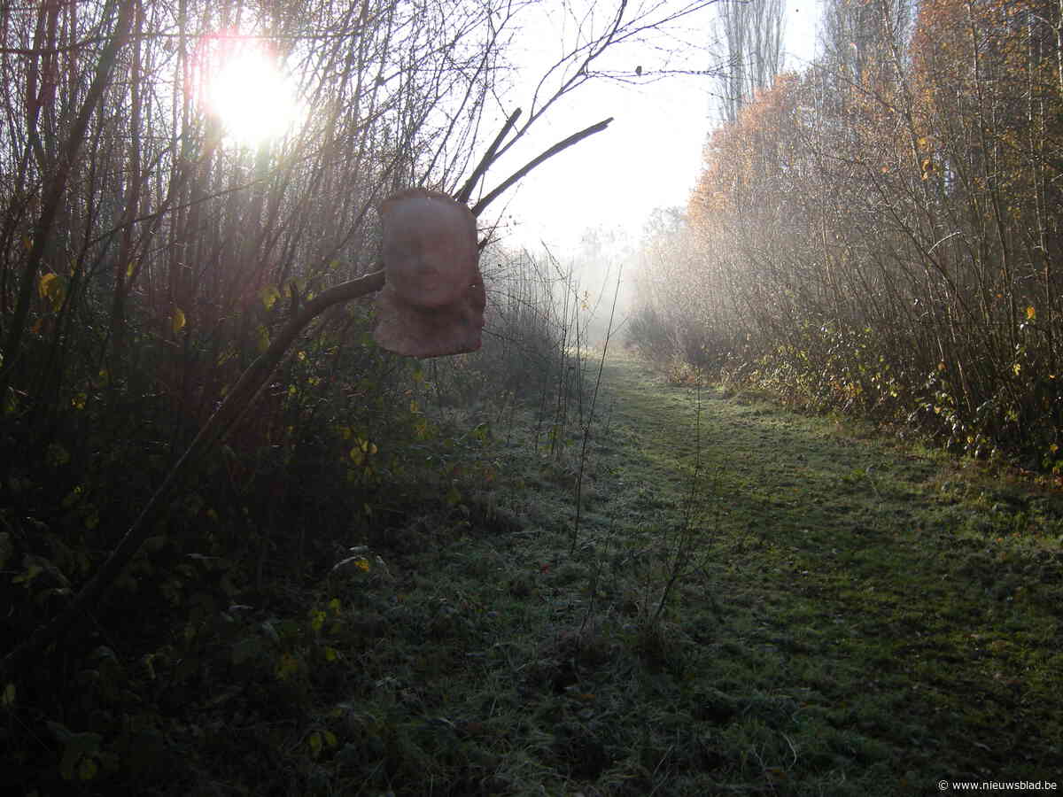 Stadsbos Deinze zoekt (beeldende) kunstenaars