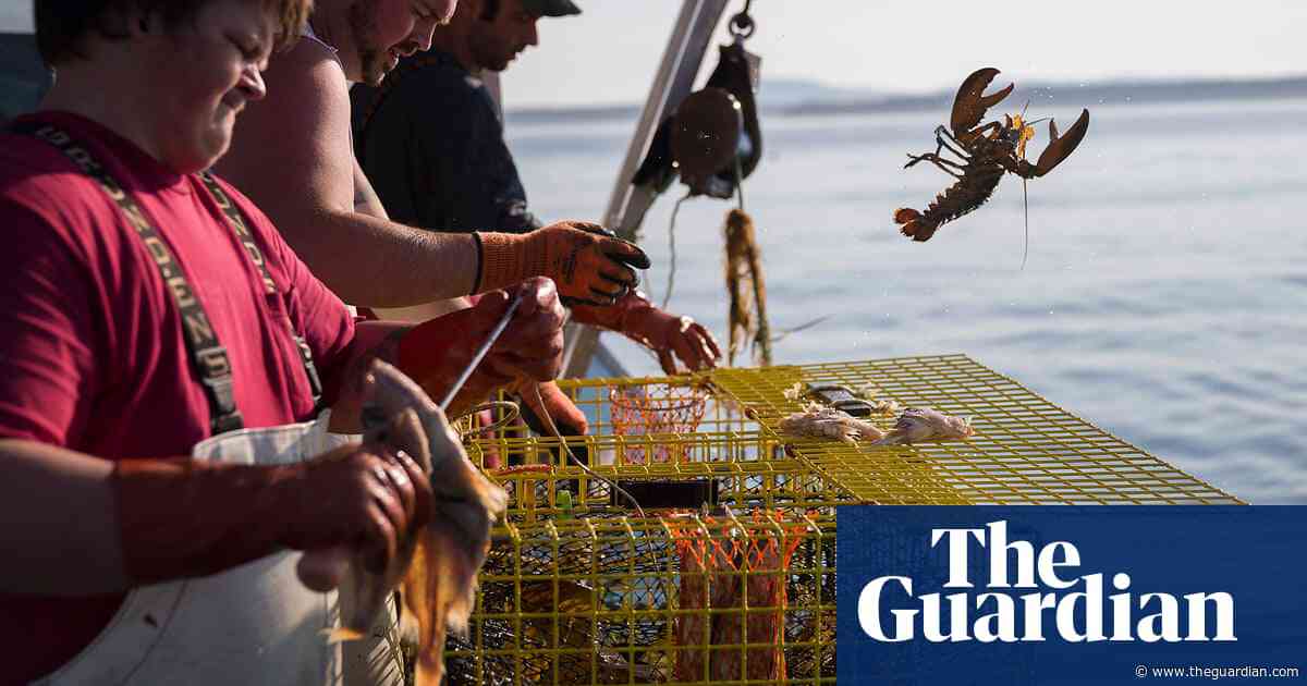 On the front line of the climate emergency – in pictures