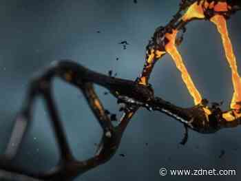 DNA firm GEDmatch now operated by company with police ties, privacy worries surface