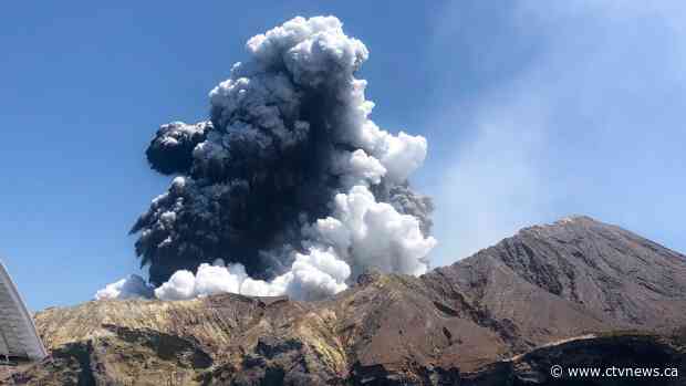 New Zealand has ordered more than 1,290 square feet of skin for volcano victims
