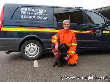 Cocker spaniel Scout completes first search and rescue mission