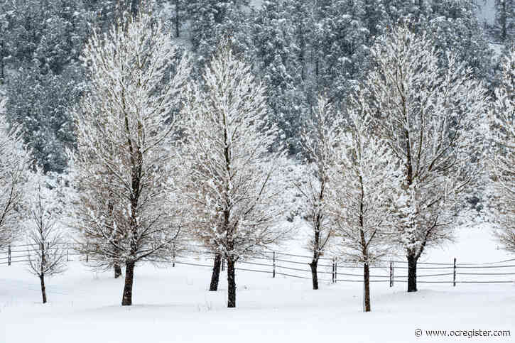 Our coldest season bears unexpected gifts