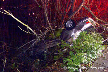 VIDEO: Fence saves driver from 50-ft plummet after crash in Abbotsford