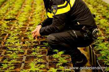 Politie vindt wapen, vuurwerkbom en soft- en harddrugs bij invallen Beuningen en Nijmegen