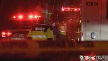 No survivors in plane crash on B.C.'s Gabriola Island, RCMP say