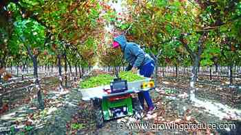 Tech Provides Beacon of Hope for the Future of Ag