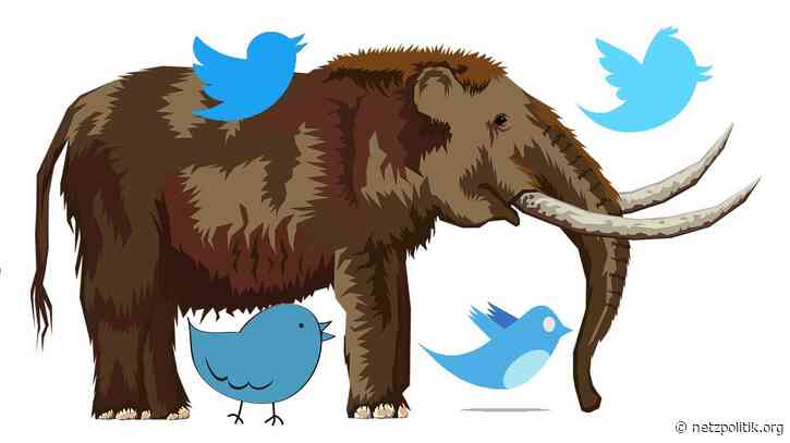 Interoperabilität: Twitter baut offenen Standard für soziale Medien