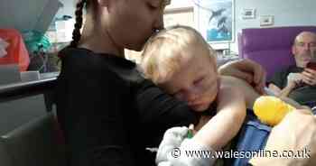 The amazing response when parents of boy fighting for life in hospital appealed for a place to stay