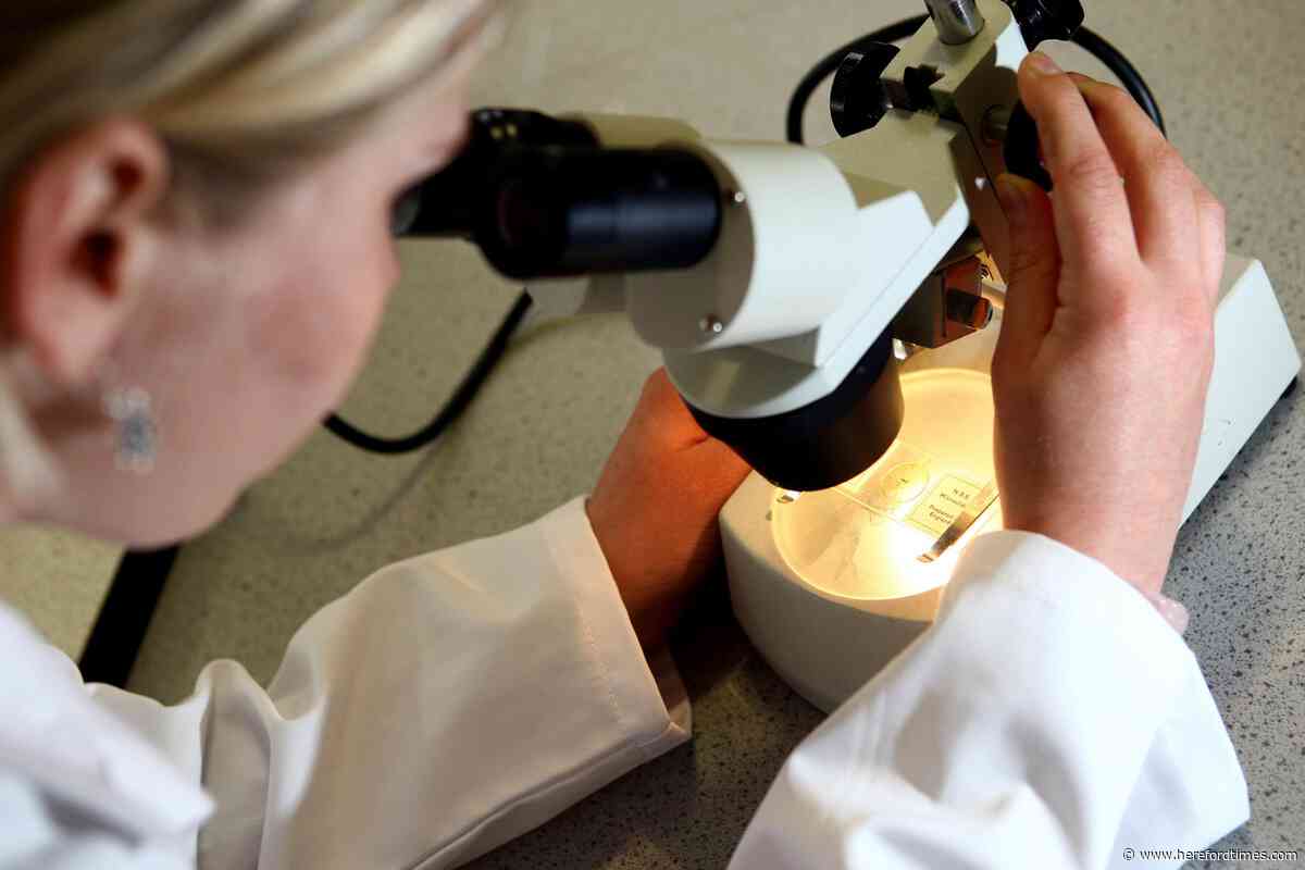 Hereford charity funds childhood kidney cancer research