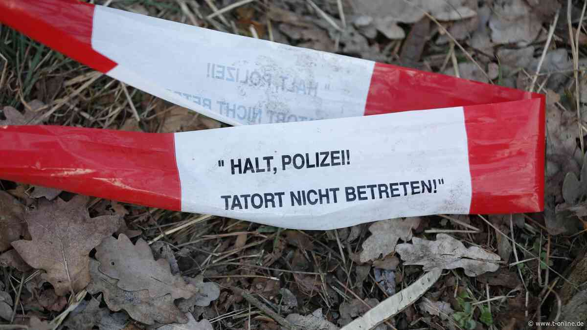 Google Trends: Danach haben die Deutschen 2019 am meisten gesucht