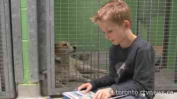 Kids read to shelter dogs awaiting adoption in 'Reading Buddies' program