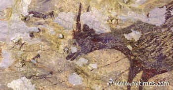 Indonesian Cave’s Mythical Beings May Be Oldest Imaginative Art by Humans