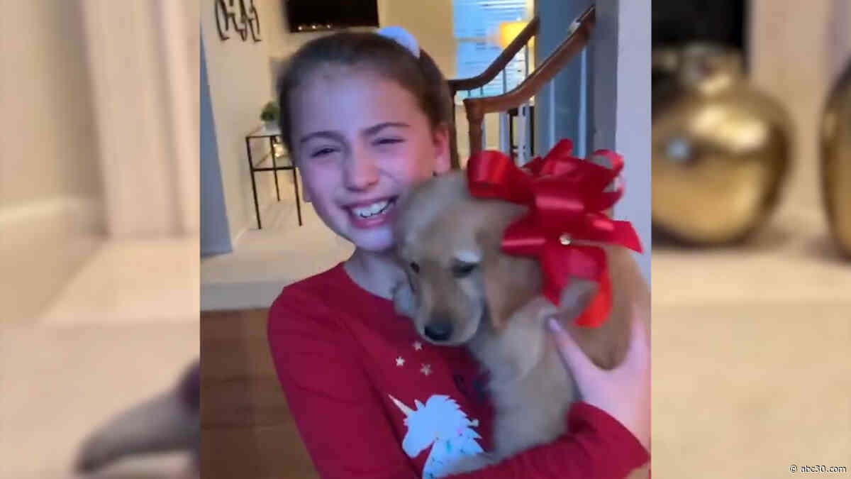 Christmas puppy surprise! Girls cry tears of joy when their wish comes true